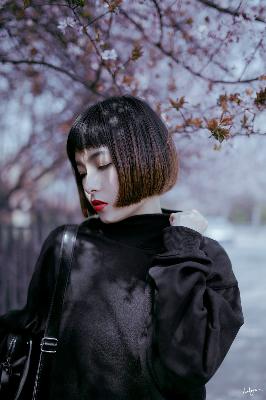 平凡的世界电视剧免费全集在线观看