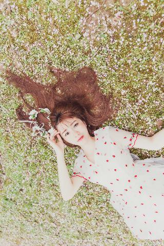 乔梁叶心仪超前更新