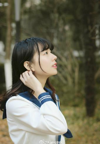 免费动漫在线观看完整版影视大全