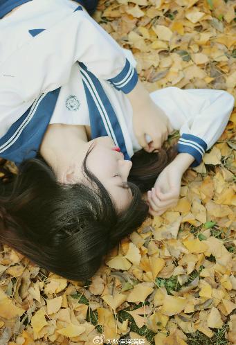 影视大全免费追剧