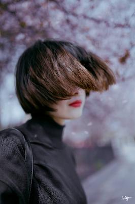 西游记86版全集