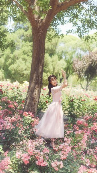 神墓免费观看全集完整版