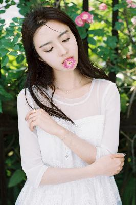 免费观看电视剧大全